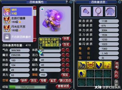 《梦幻西游》宝宝打书全攻略：打造强力战斗伙伴的秘诀