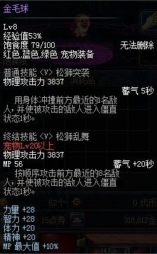 《DNF》金毛球宠物养成与战斗策略全攻略