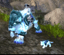 《魔兽世界》追寻幽灵虎：珍稀宠物的捕捉与养成攻略