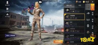 和平精英玩法详解：从新手到高手的全方位指南