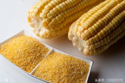 《玉米传奇攻略：勇闯农田，成就玉米种植大师》