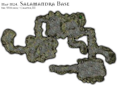 《巫师加强版》全面攻略：探索魔法世界，成就传奇巫师！