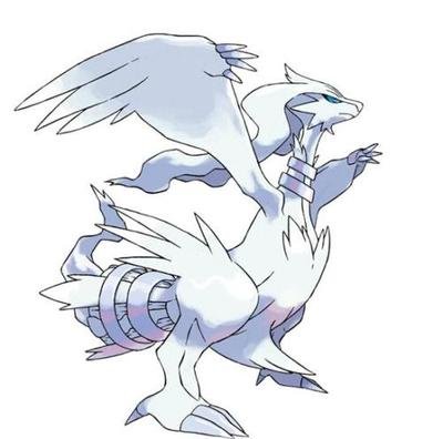 口袋妖怪黑白2玩家必备：全面解析游戏世界与战斗策略！